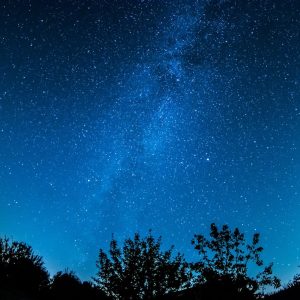 Website Success Stories